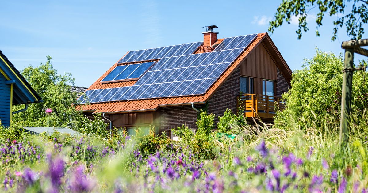 prevence-znecisteni-solarnich-panelu